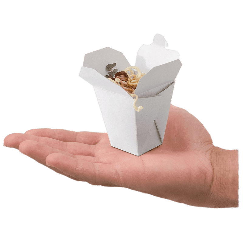 Noodle Box Delight in Your Hand PNG