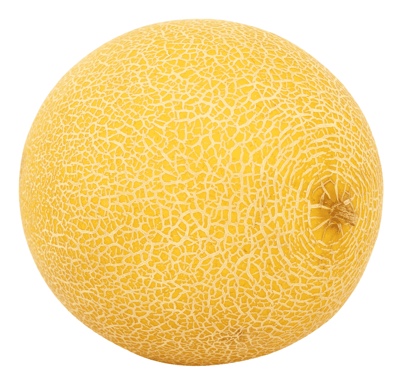Golden Melon Slice Delight PNG