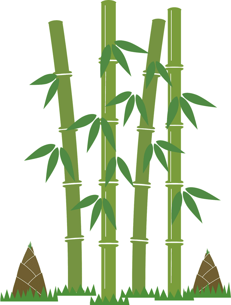 Bamboo Forest Serenity and Tranquility PNG