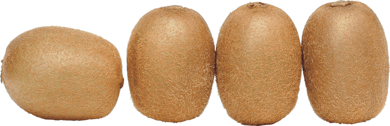 Fresh and Juicy Kiwi Fruit Delight PNG