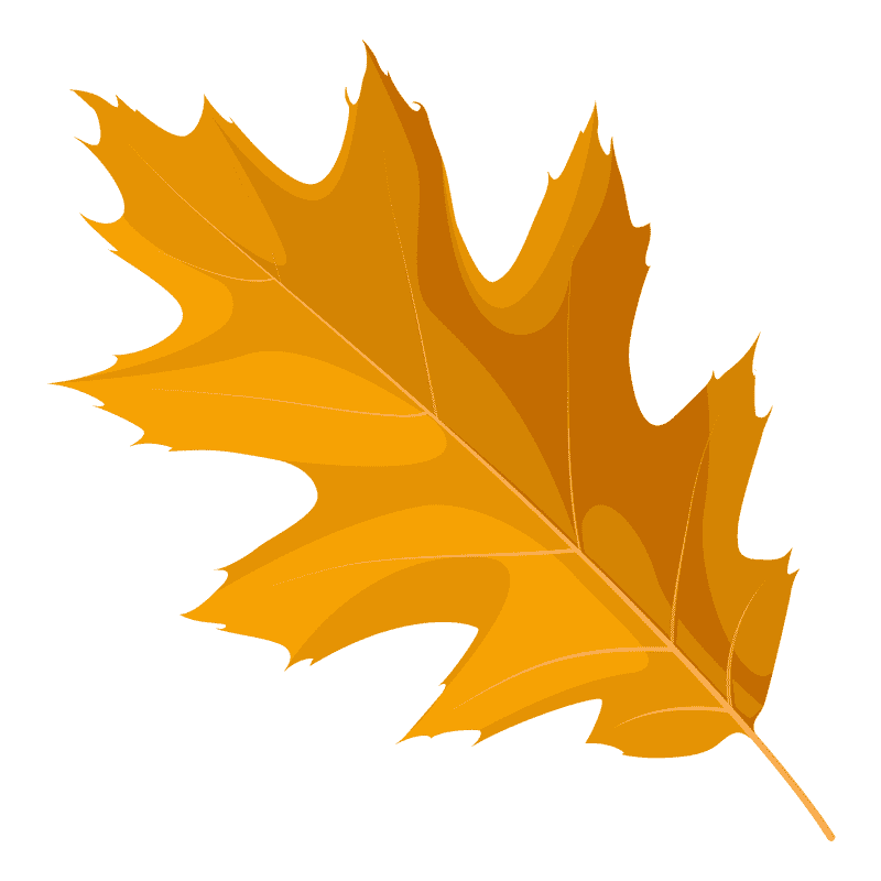 Efficient Leaf Blower for Autumn Cleanup PNG