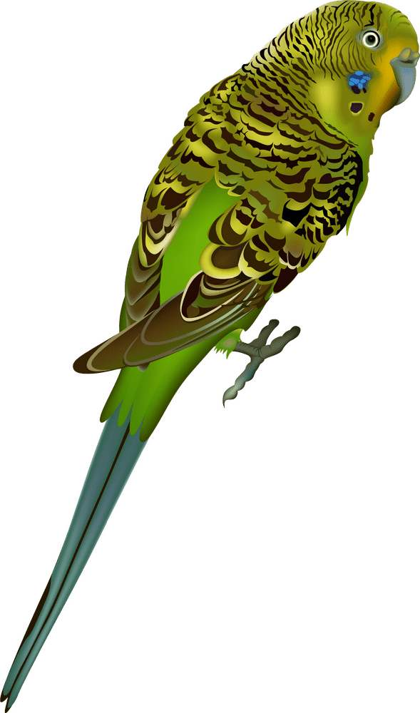 Colorful Green Bird Perched Gracefully PNG