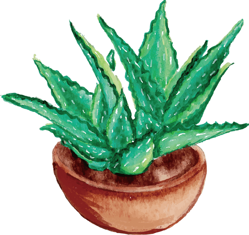 Vibrant Aloe Vera in a Rustic Pot PNG