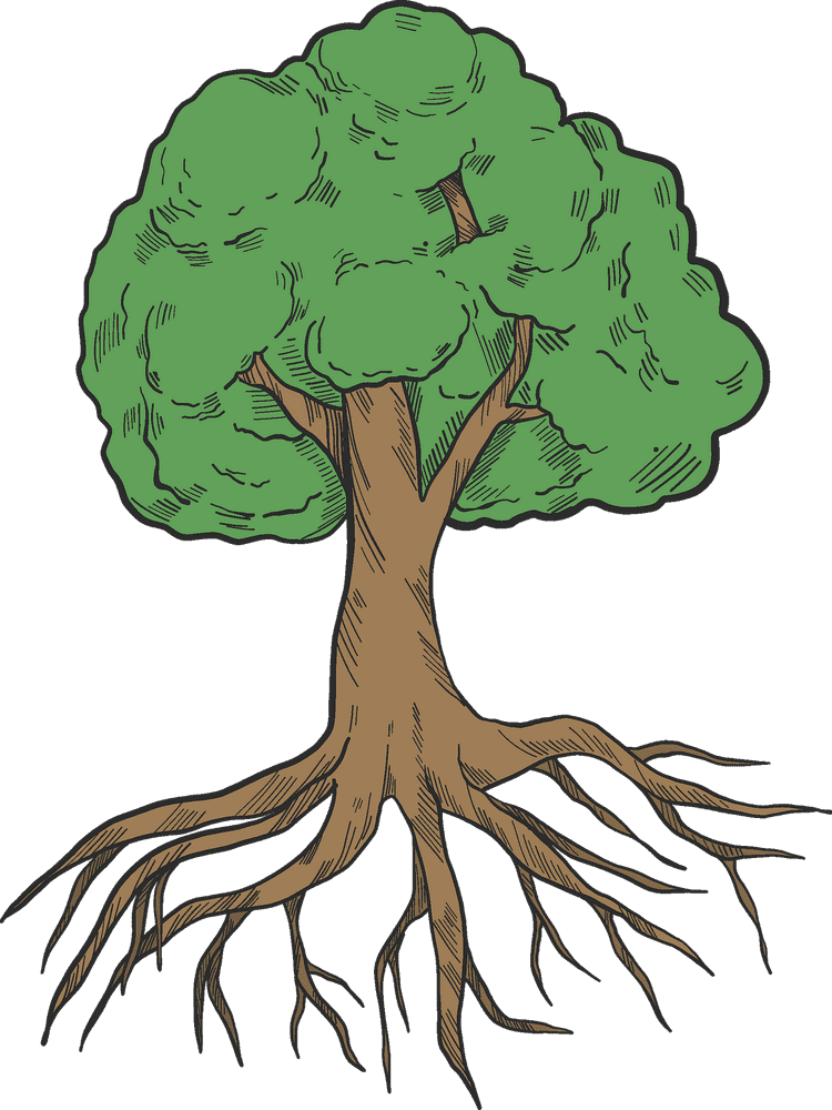 Whimsical Ginger Root Tree Illustration PNG