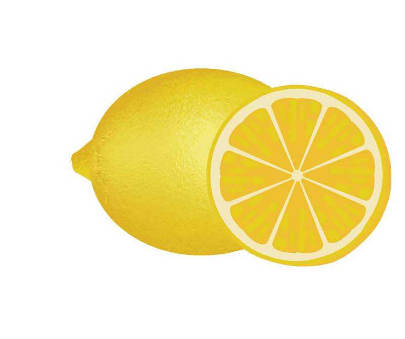Bright Citrus Slice Delightfulness PNG