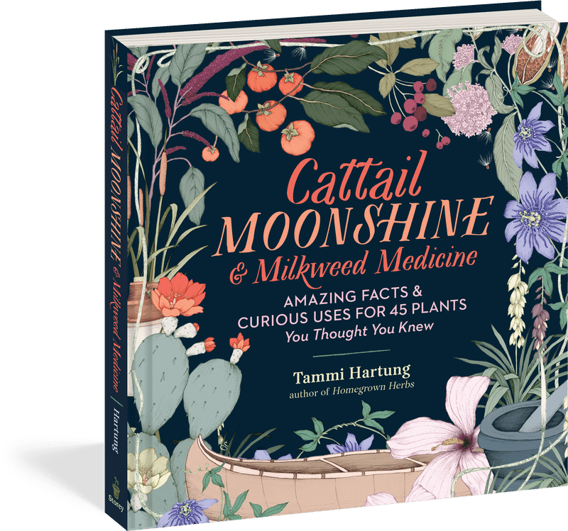 Cattail Moonshine Unique Insights into Plant Medicine PNG