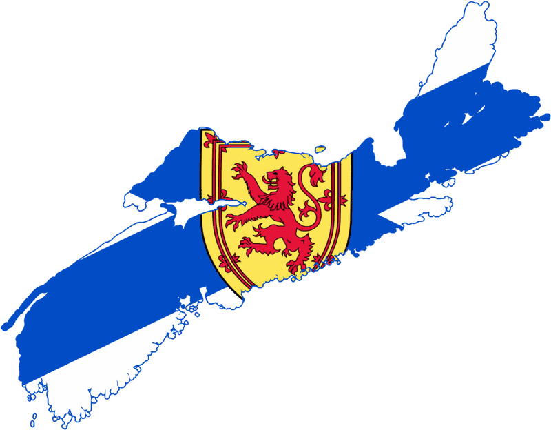 Quiz Buzzer Challenge Your Knowledge! PNG