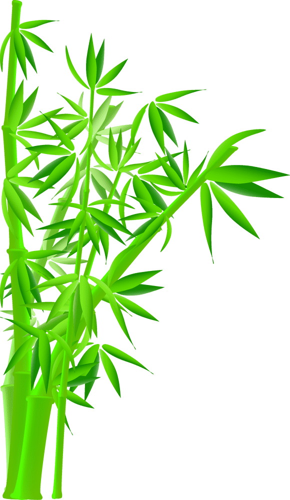 Whispers in the Bamboo Forest PNG