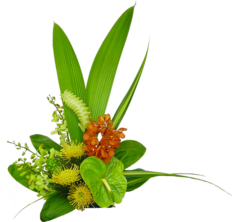 Tropical Serenity A Vibrant Flower Arrangement PNG