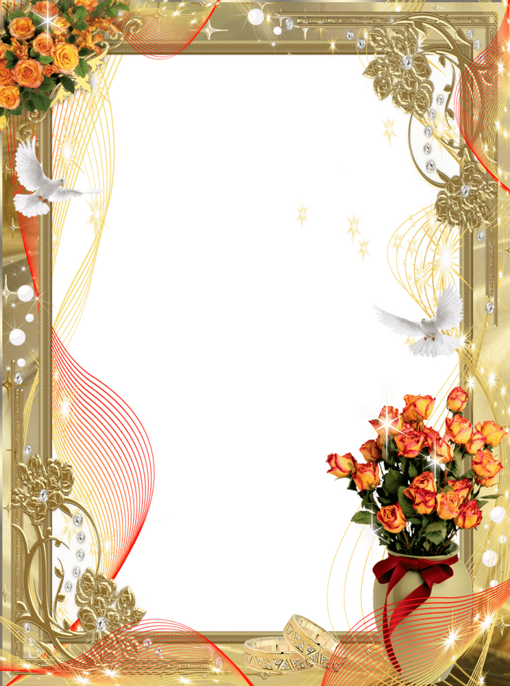 Elegant Floral Photo Frame with Doves and Stars PNG