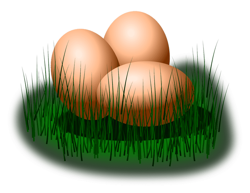 Nestled Eggs on Lush Green Grass PNG
