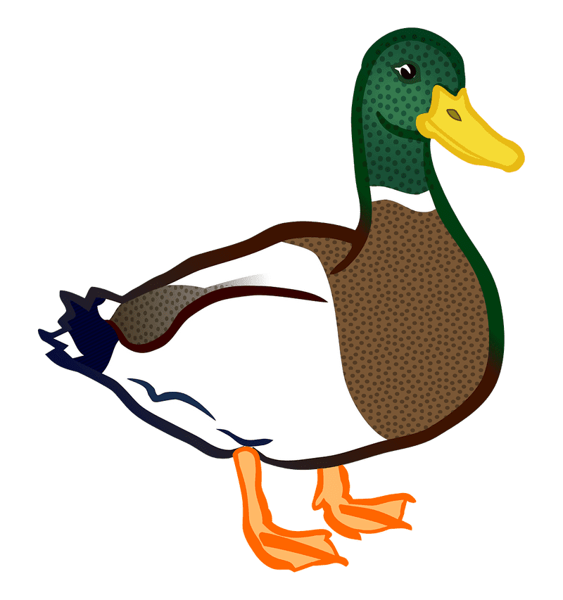 Charming Rubber Duck with Colorful Feathers PNG