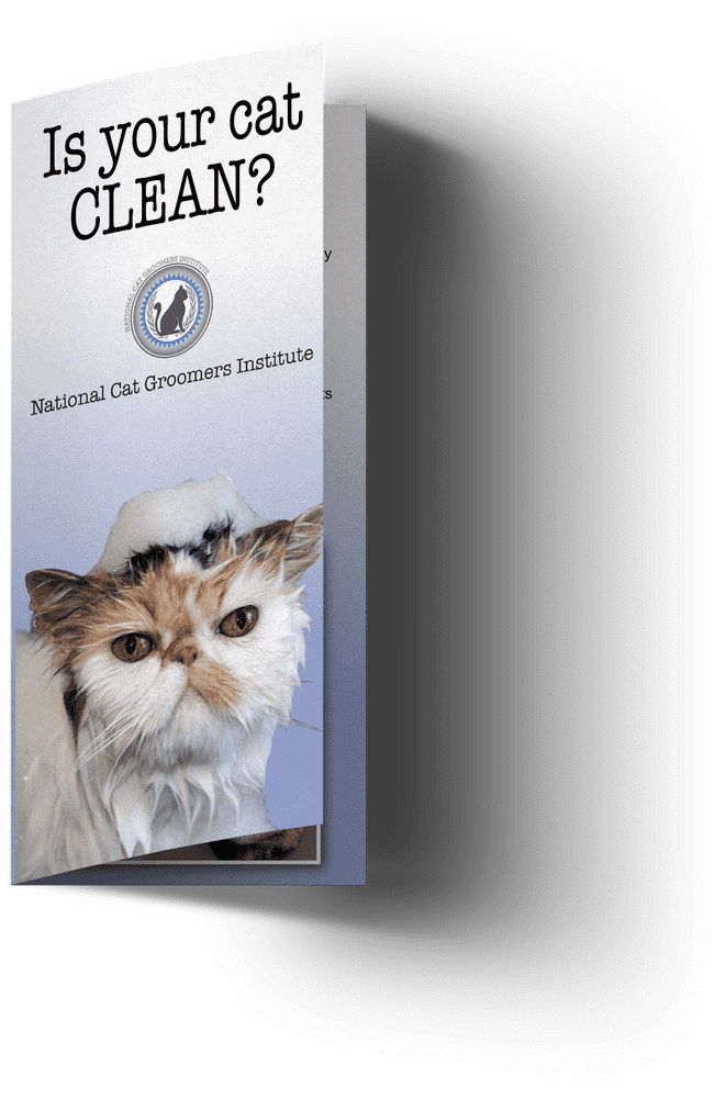Is Your Cat Clean A Grooming Guide PNG