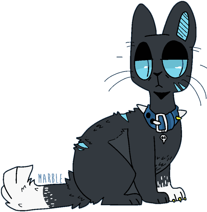 Marble Cat with Blue Accents and Collar PNG