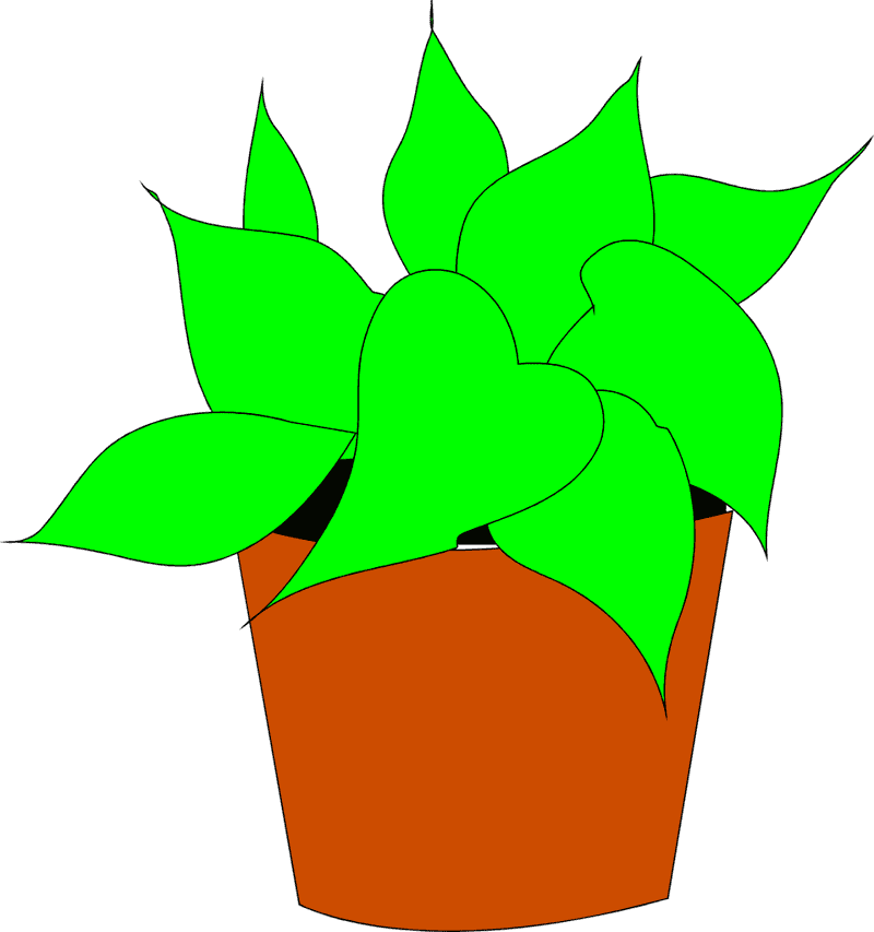 Vibrant Green Art Gallery Nature's Palette PNG