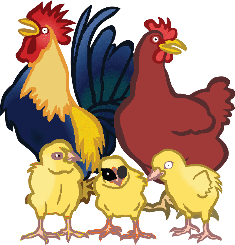 Happy Chickens in a Cozy Chicken Coop PNG