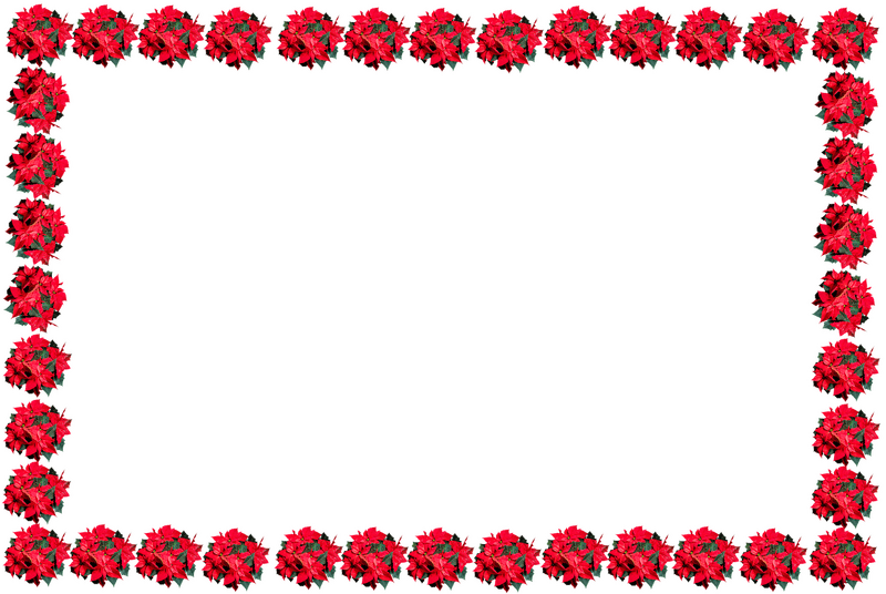 Joyful Christmas Poinsettia Border Design PNG