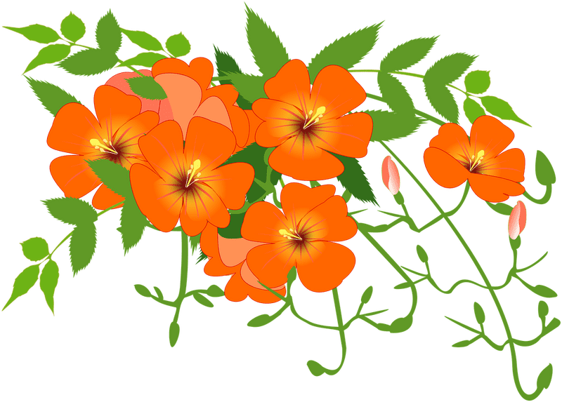 Chinese Floral Harmony in Vivid Orange PNG