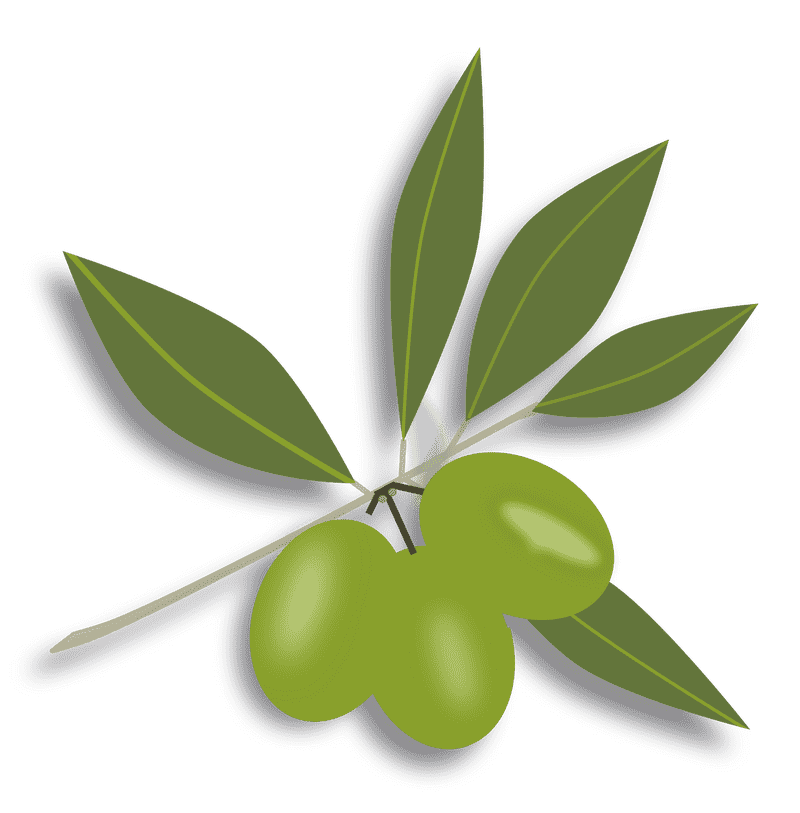 Pure Essence of Olive Oil PNG