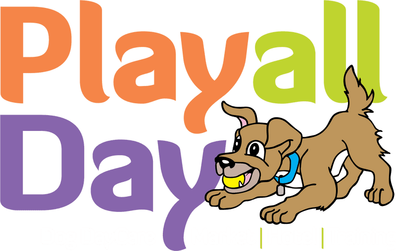 PlayAll Day Dog Daycare and Training Center PNG