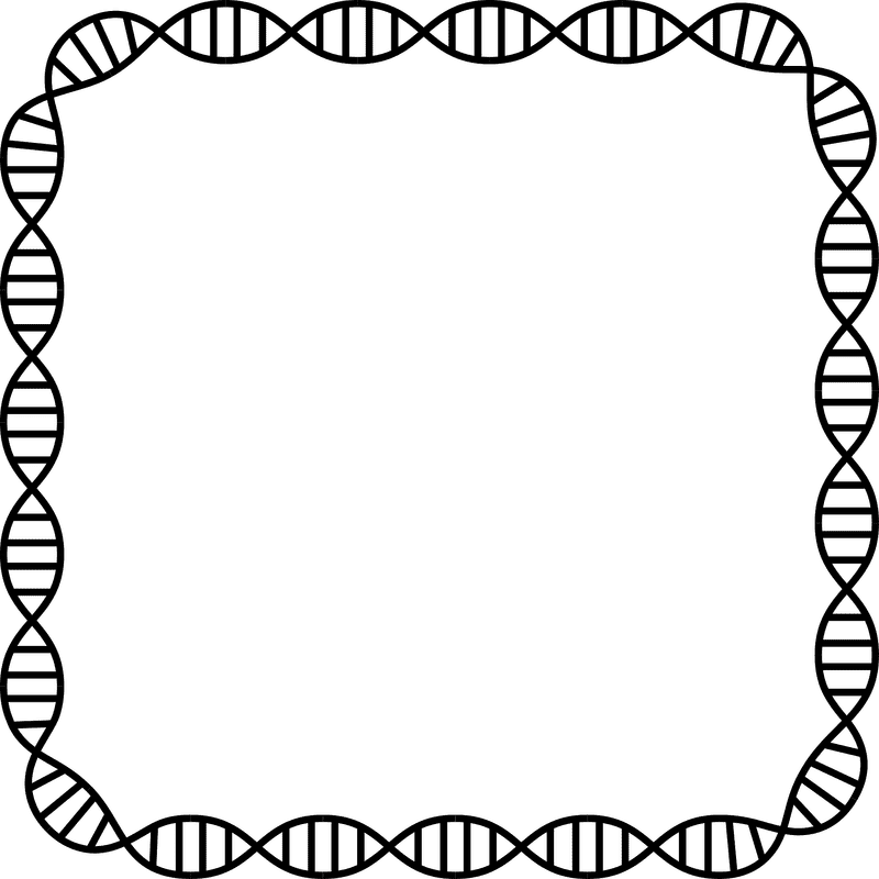 DNA The Blueprint of Life PNG