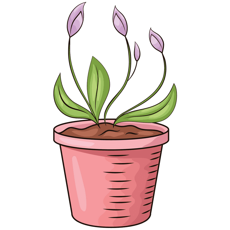 Charming Pink Plant Pot with Elegant Shoots PNG
