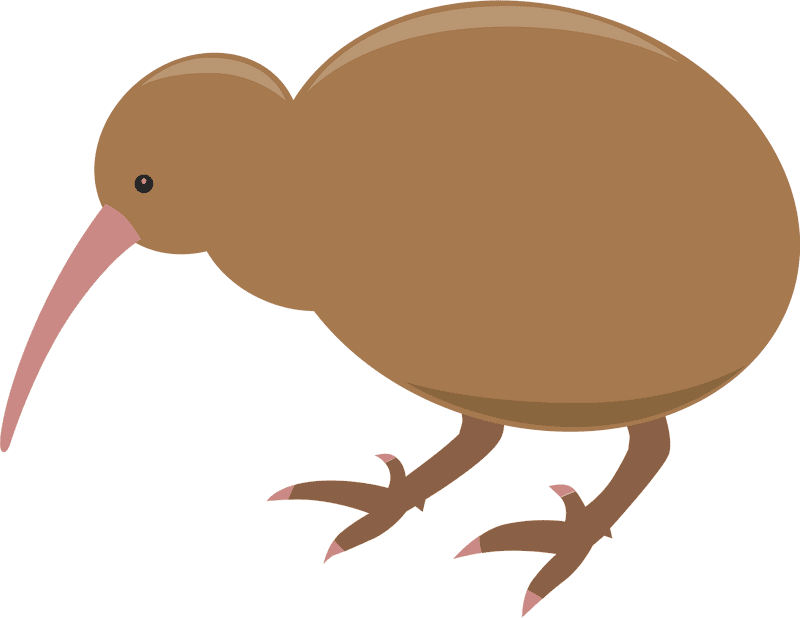 Kooky Kiwi Bird Adventure PNG