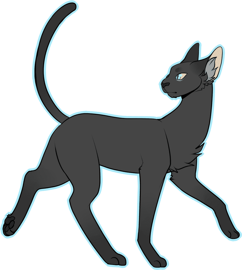 Elegant Shadow Cat on the Move PNG