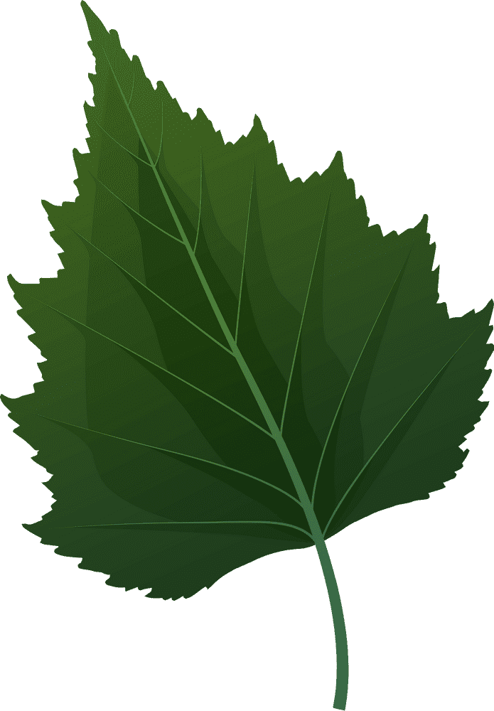 Ultimate Leaf Blower for Efficient Yard Cleanup PNG