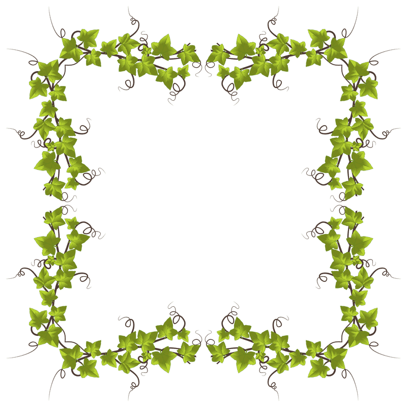 Ivy Leaf Enchantment Frame Design PNG