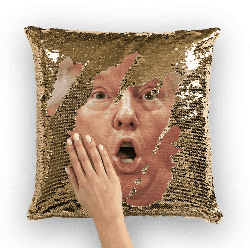 Sparkling Surprise Pillow Cushion PNG