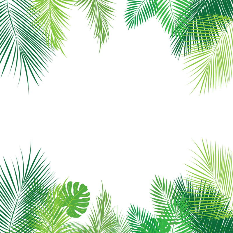 Vibrant Tropical Leaf Border PNG