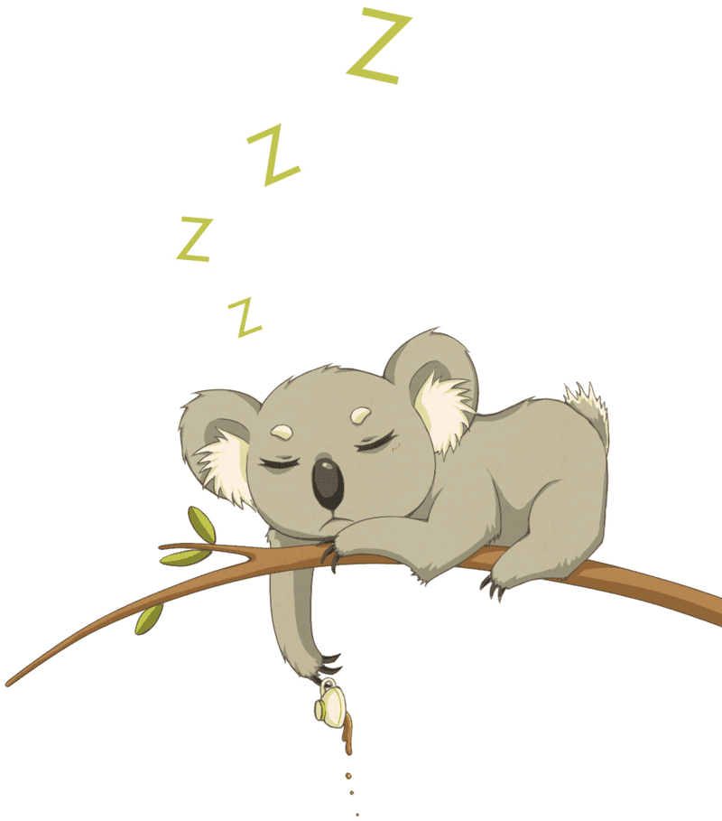 Sleepy Koala Bear Dreaming on a Branch PNG