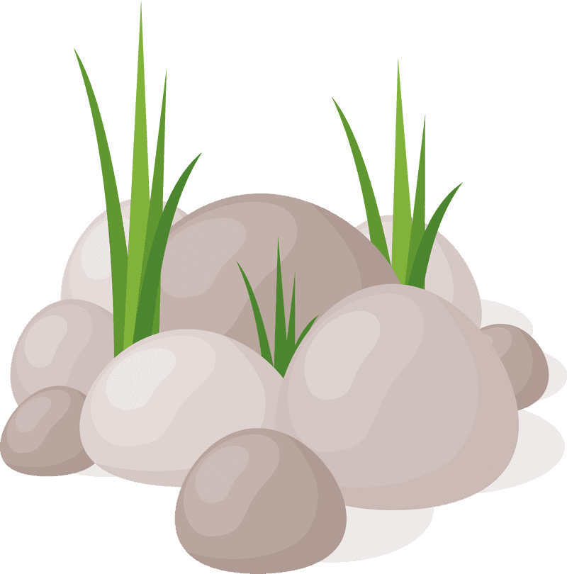 Smooth Stones Surrounded by Lush Green Grass PNG