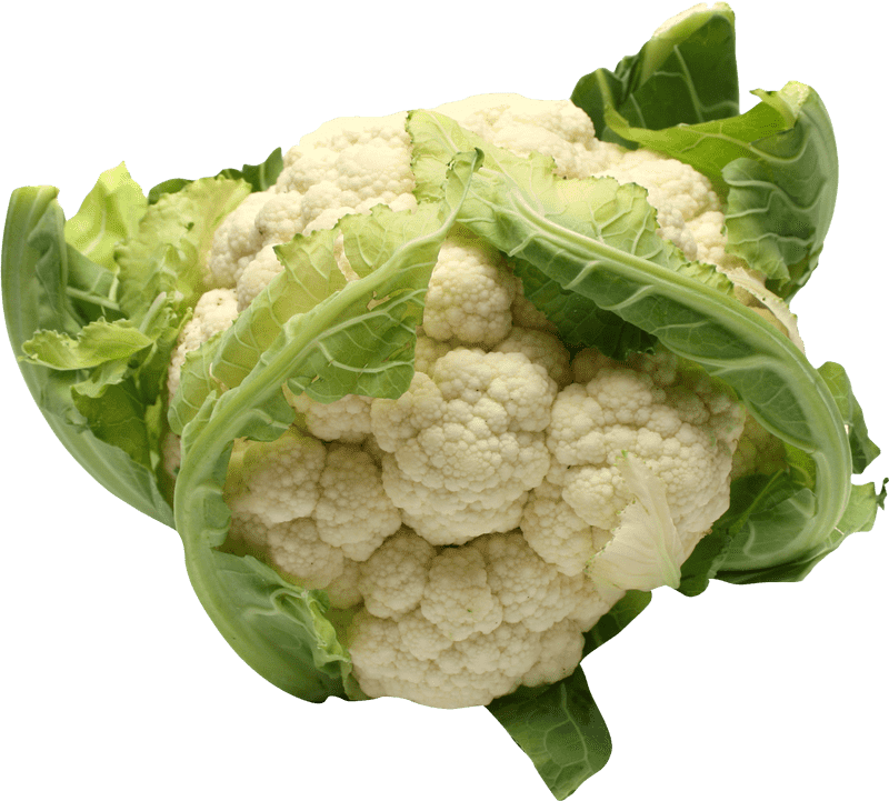 Fresh Harvest from the Vegetable Garden PNG