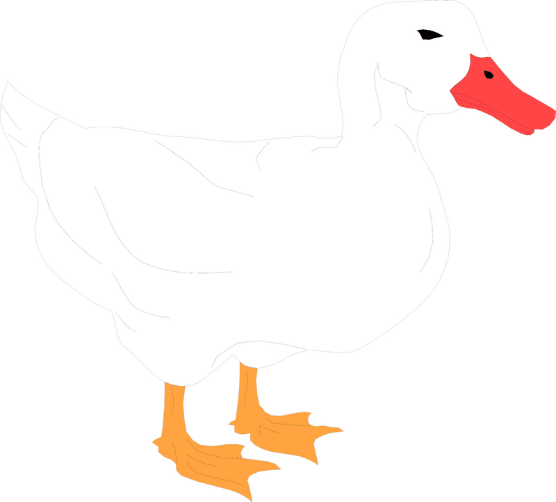 Whimsical Rubber Duck Adventure Companion PNG