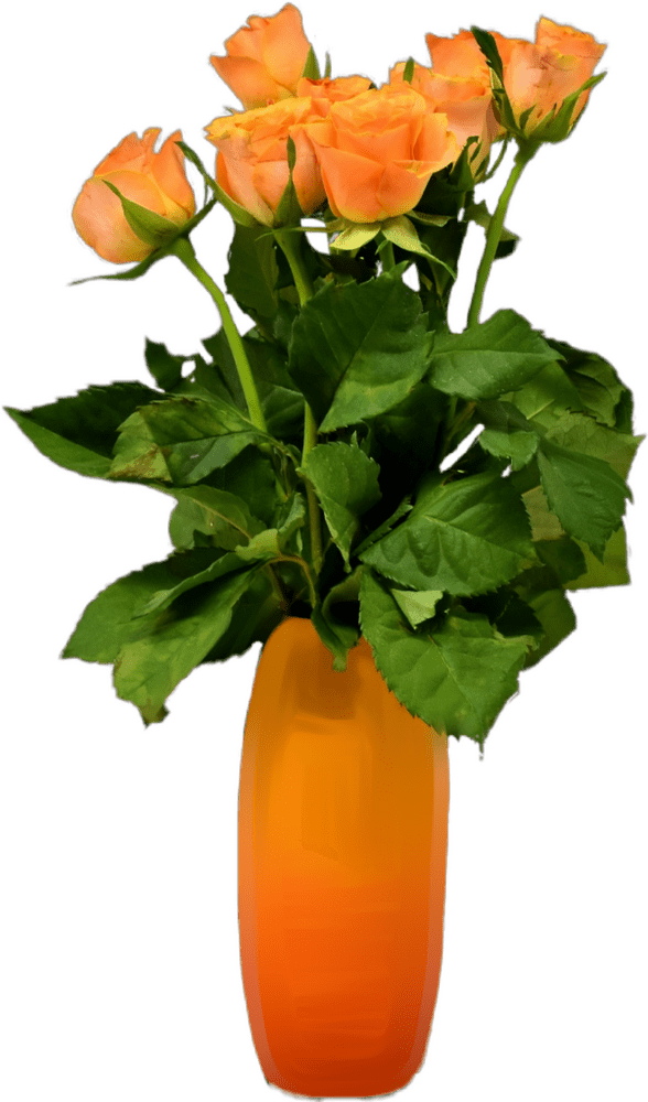 Radiant Orange Rose Flower Arrangement PNG
