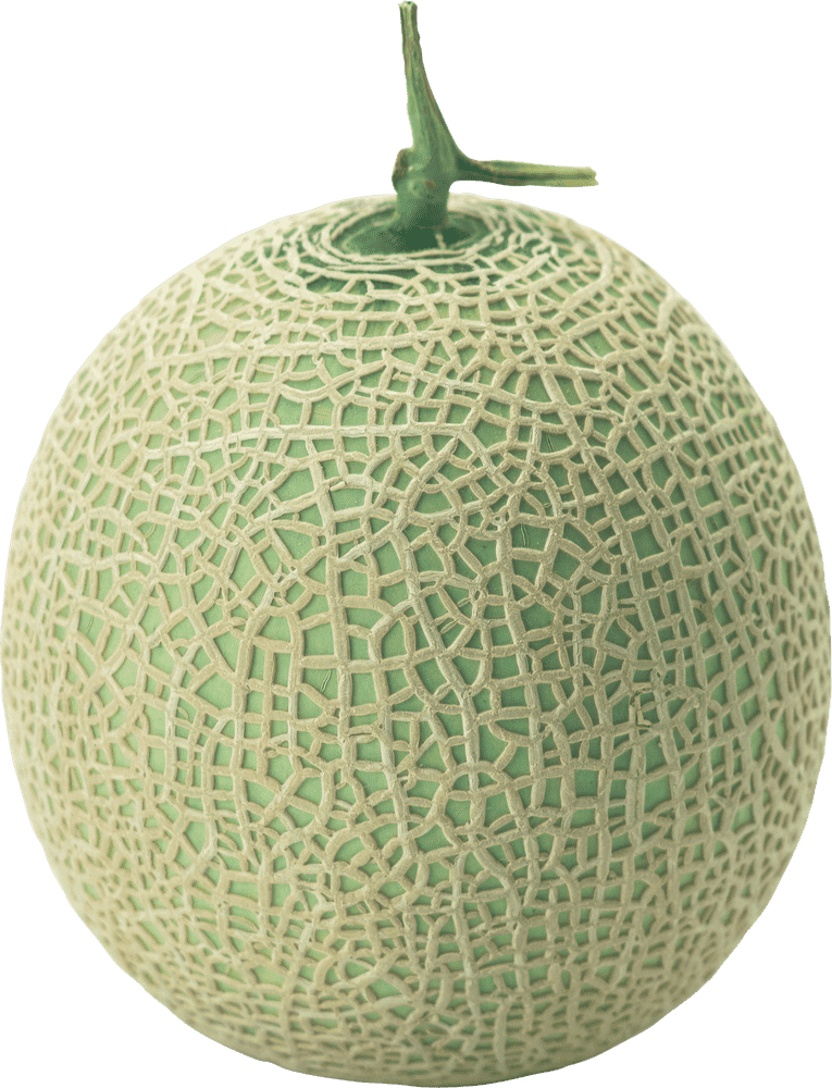 Exquisite Melon Slice with Intricate Textures PNG