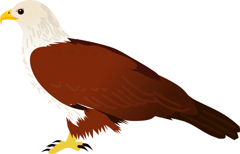 Kite Flying with the Majestic Eagle PNG