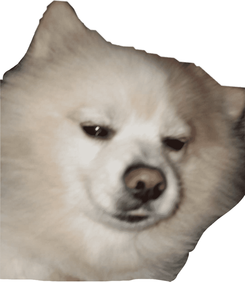 Fluffy Dog with Sleepy Eyes PNG