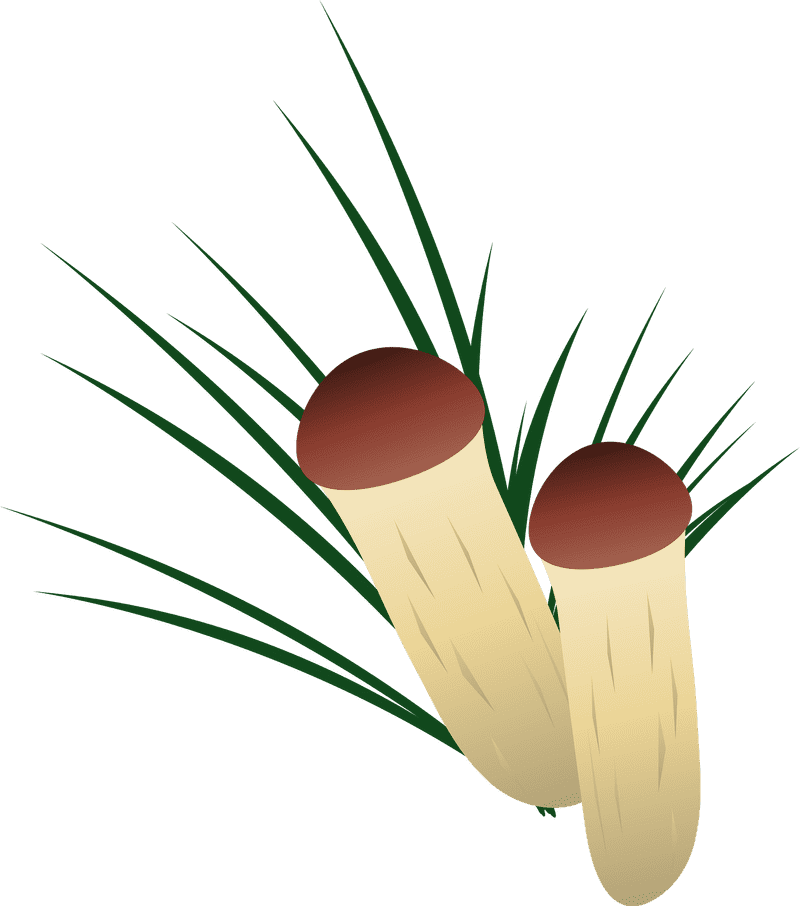 Whimsical Forest Mushroom Duo PNG