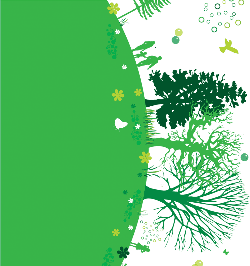 Whispers of the Enchanted Forest PNG