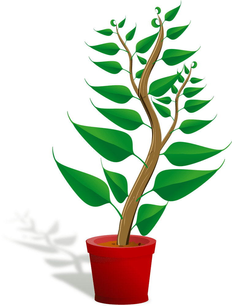 Lush Indoor Plant for Vibrant Home Decor PNG