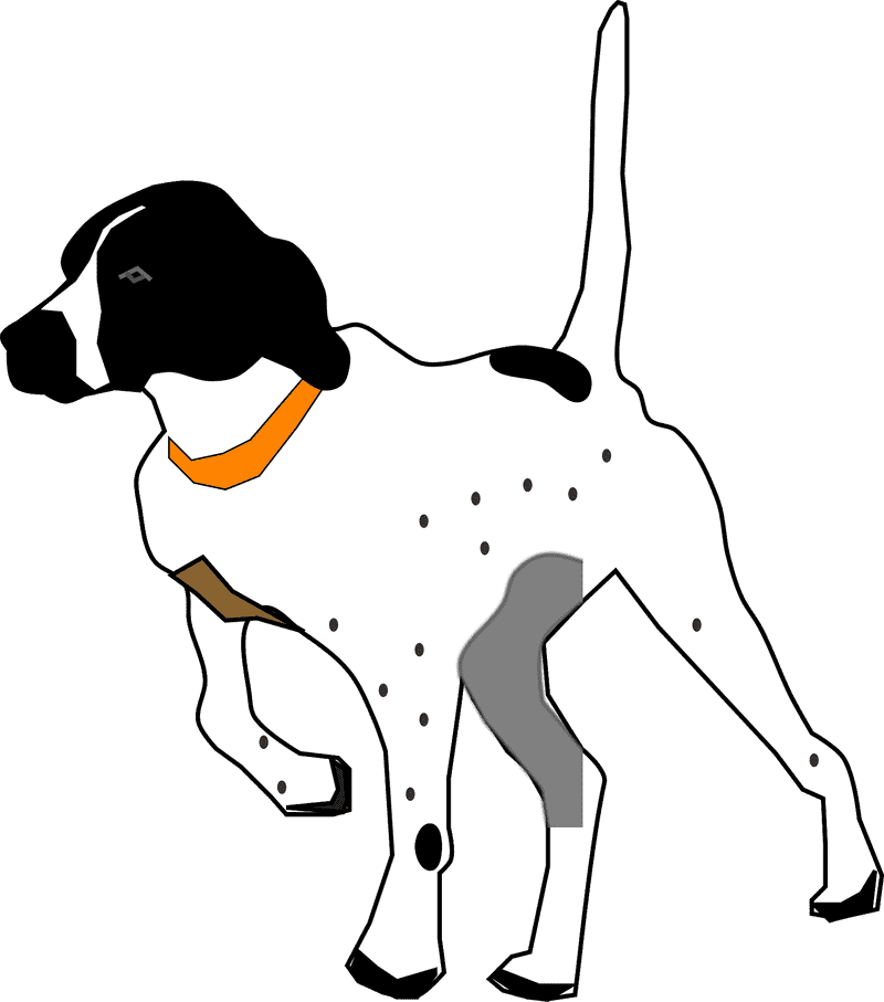 Excited Dog Chasing the Laser Pointer PNG