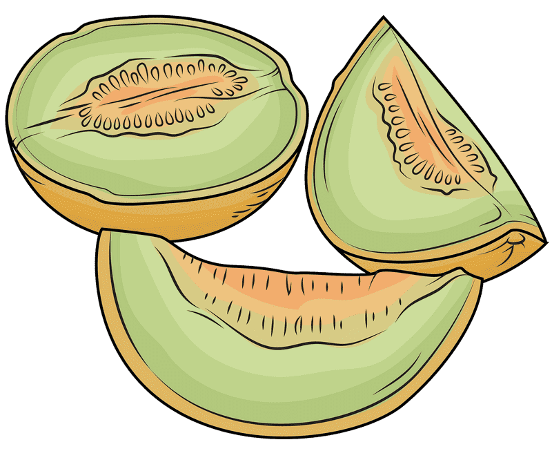 Fresh and Juicy Melon Slice Delight PNG