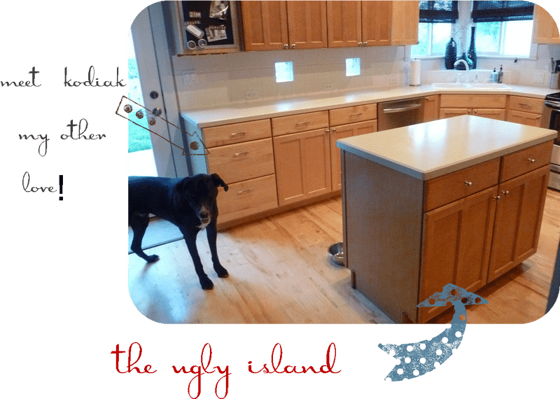 The Ugly Kitchen Island A Love Story in Design PNG