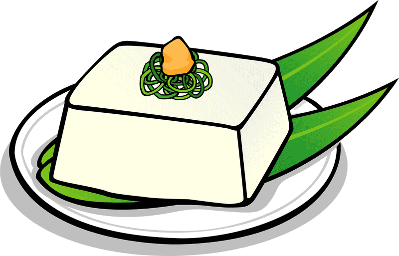 Delicate Tofu Delight A Taste of Food Harmony PNG
