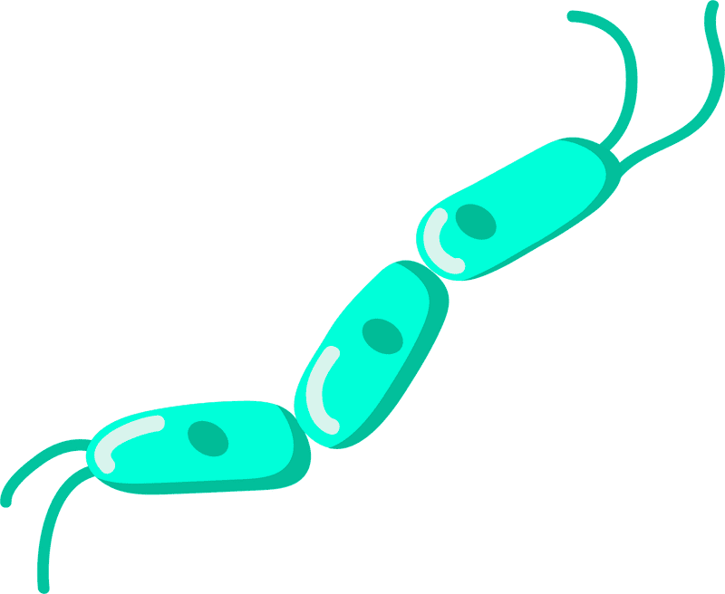 Colorful Bacteria A Microscopic Wonderland PNG