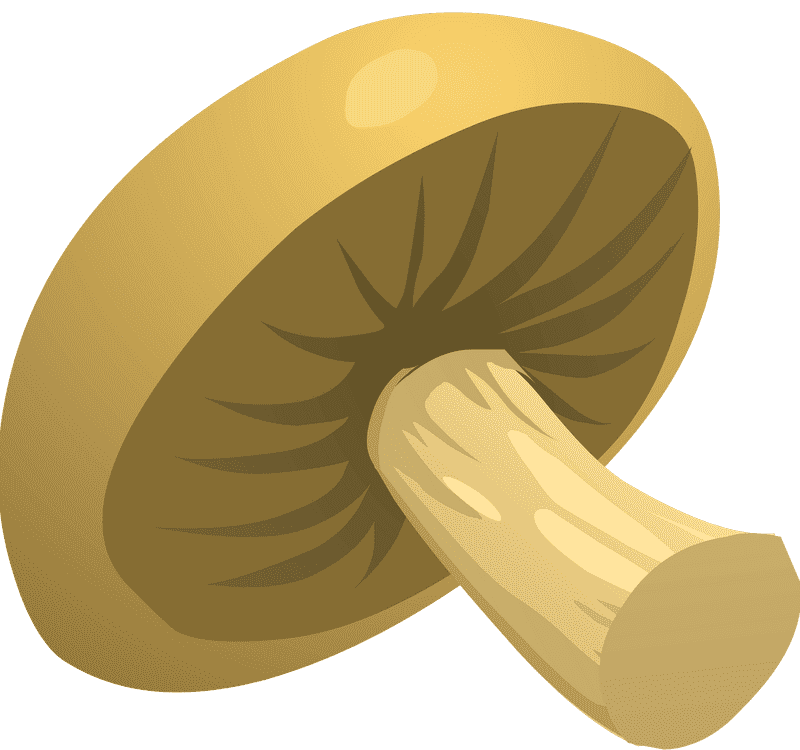 Golden Mushroom Delight PNG