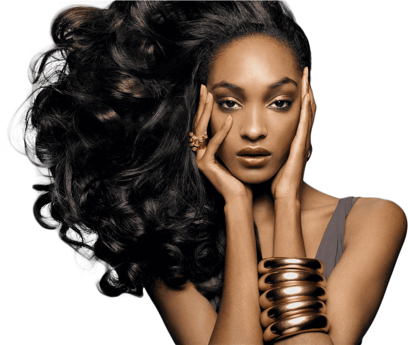 Elegant Hair Dryer for Luxurious Waves PNG